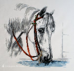 Белая лошадь, миниатюра 1